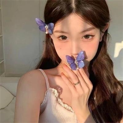 鲁邦三世：拿破仑词典争夺战